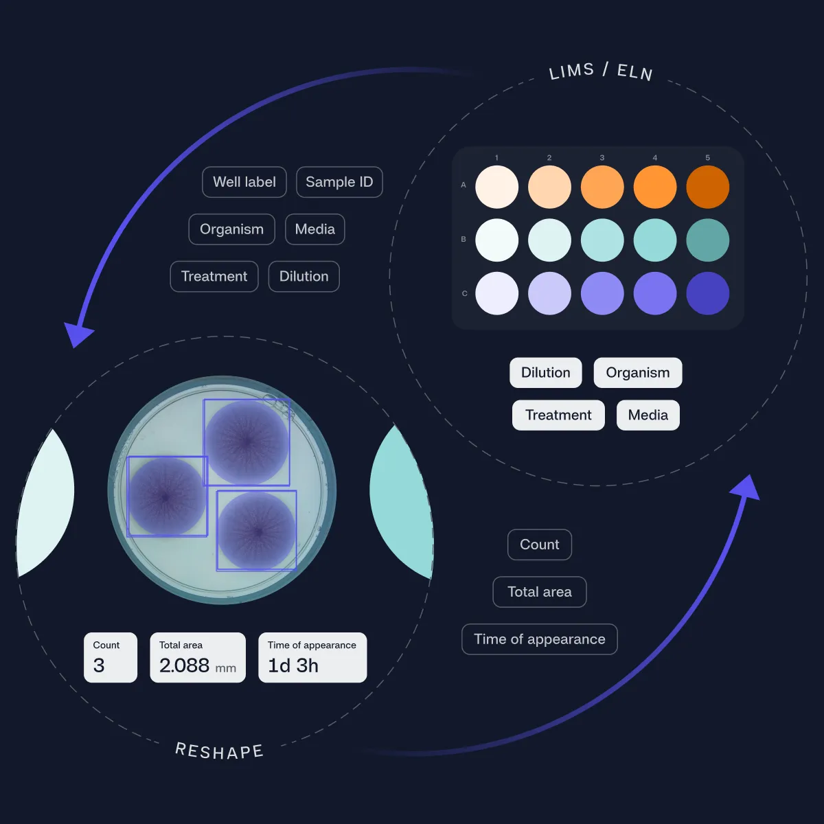 Reshape API