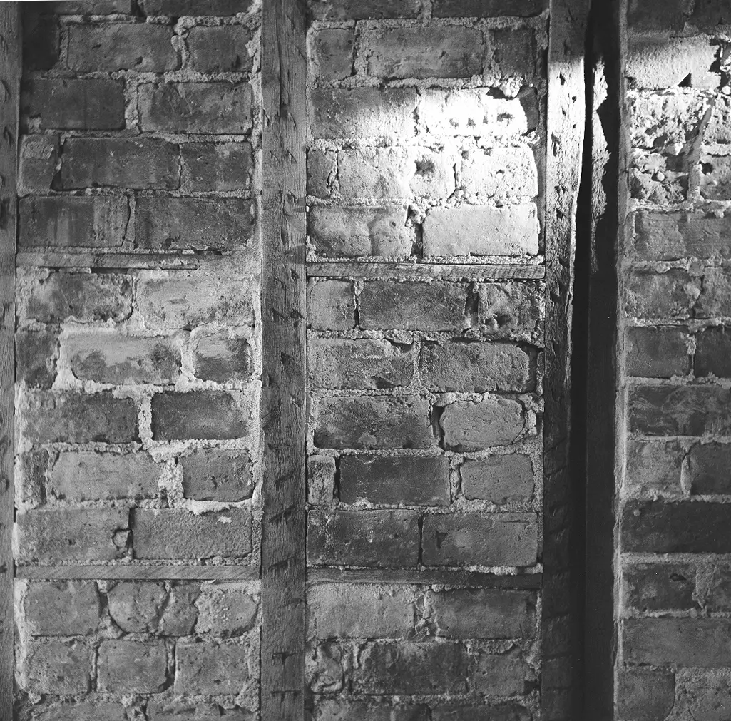 Structural bones exposed