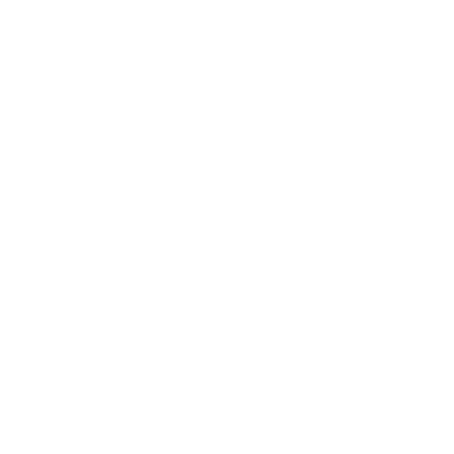 Logo for Johnson Surveying