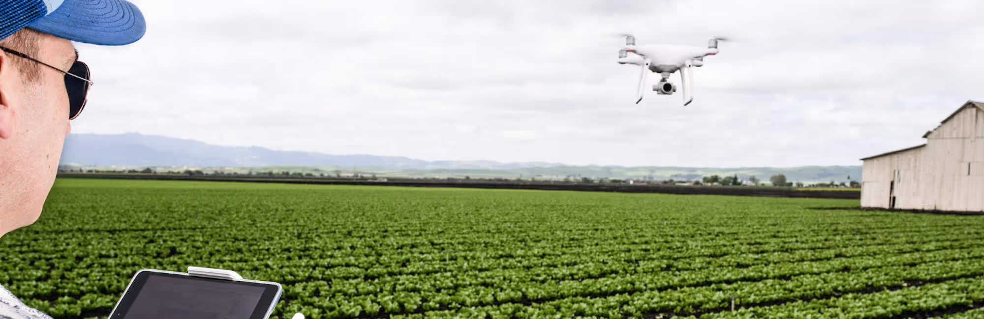 Identifying Crop Variability with Drones