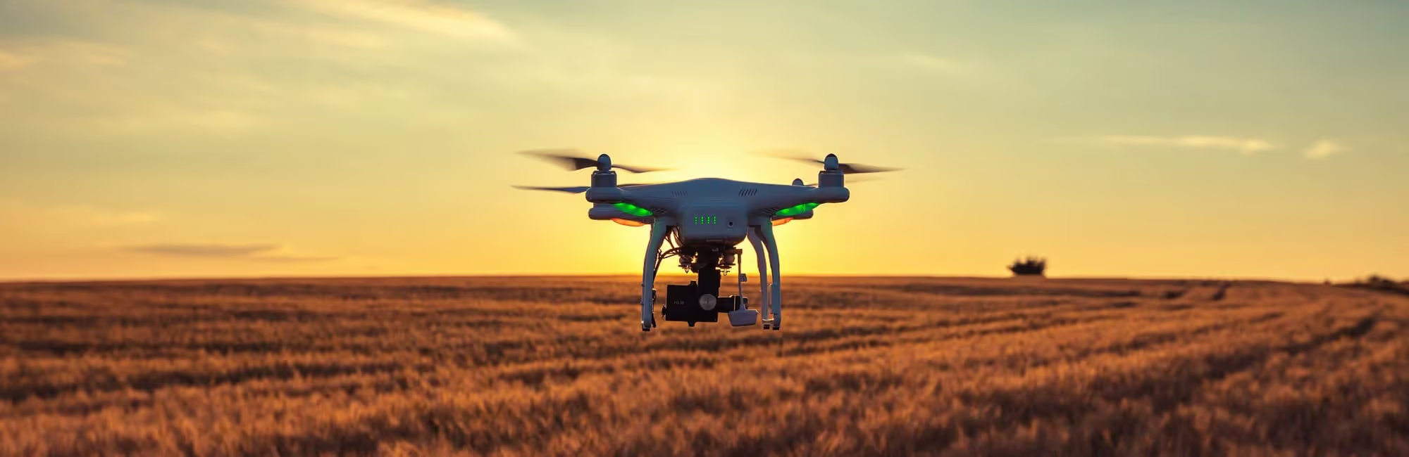 Drones in Agriculture, Then and Now