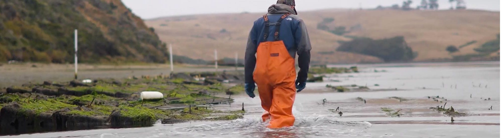 Mapping Aquatic Habitats with Drones