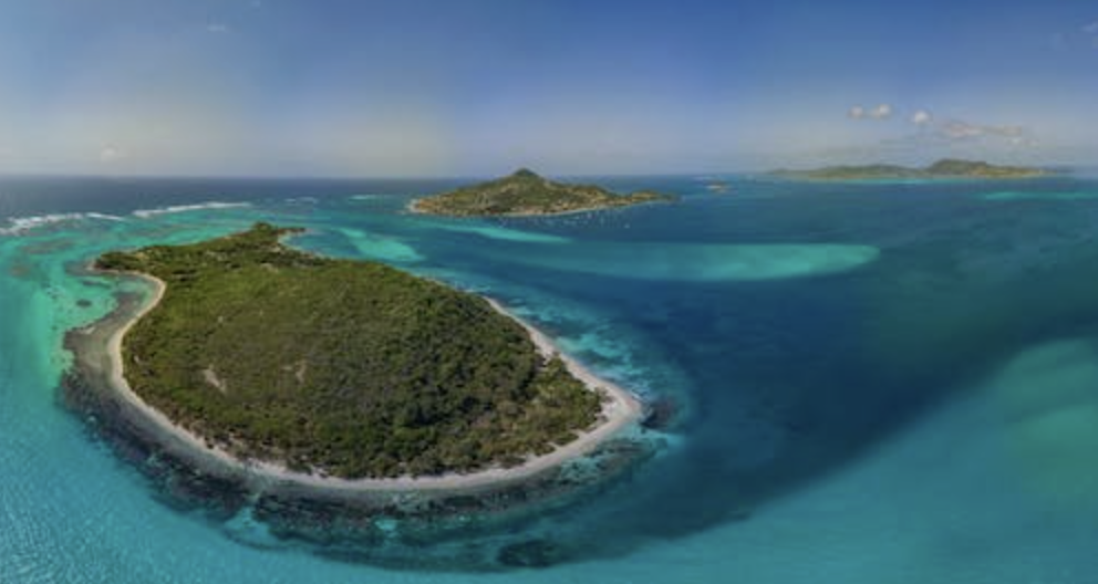 The Nature Conservancy: Fueling
Innovation & Tackling Environmental
Challenges with Drone Technology