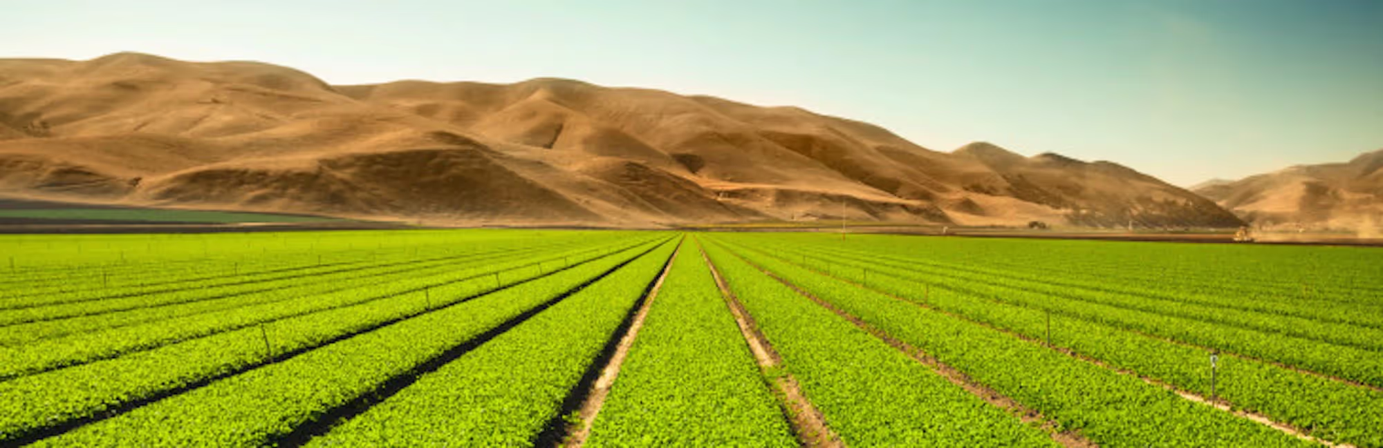 3 New DroneDeploy Features Enabling Farms to Grow with Confidence