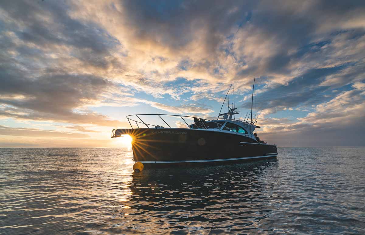 Semifly 45
