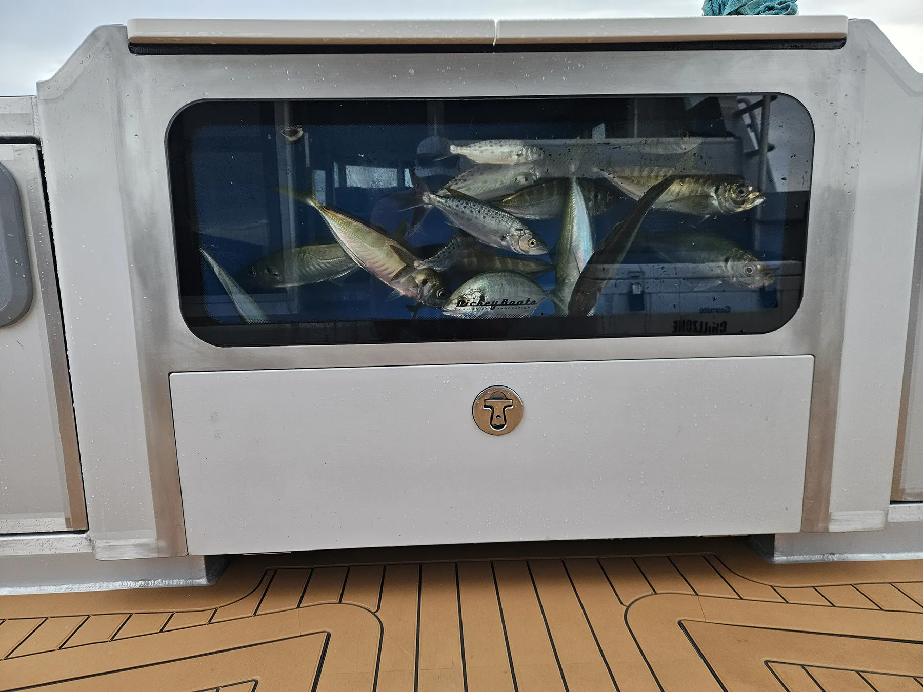 bait-bin