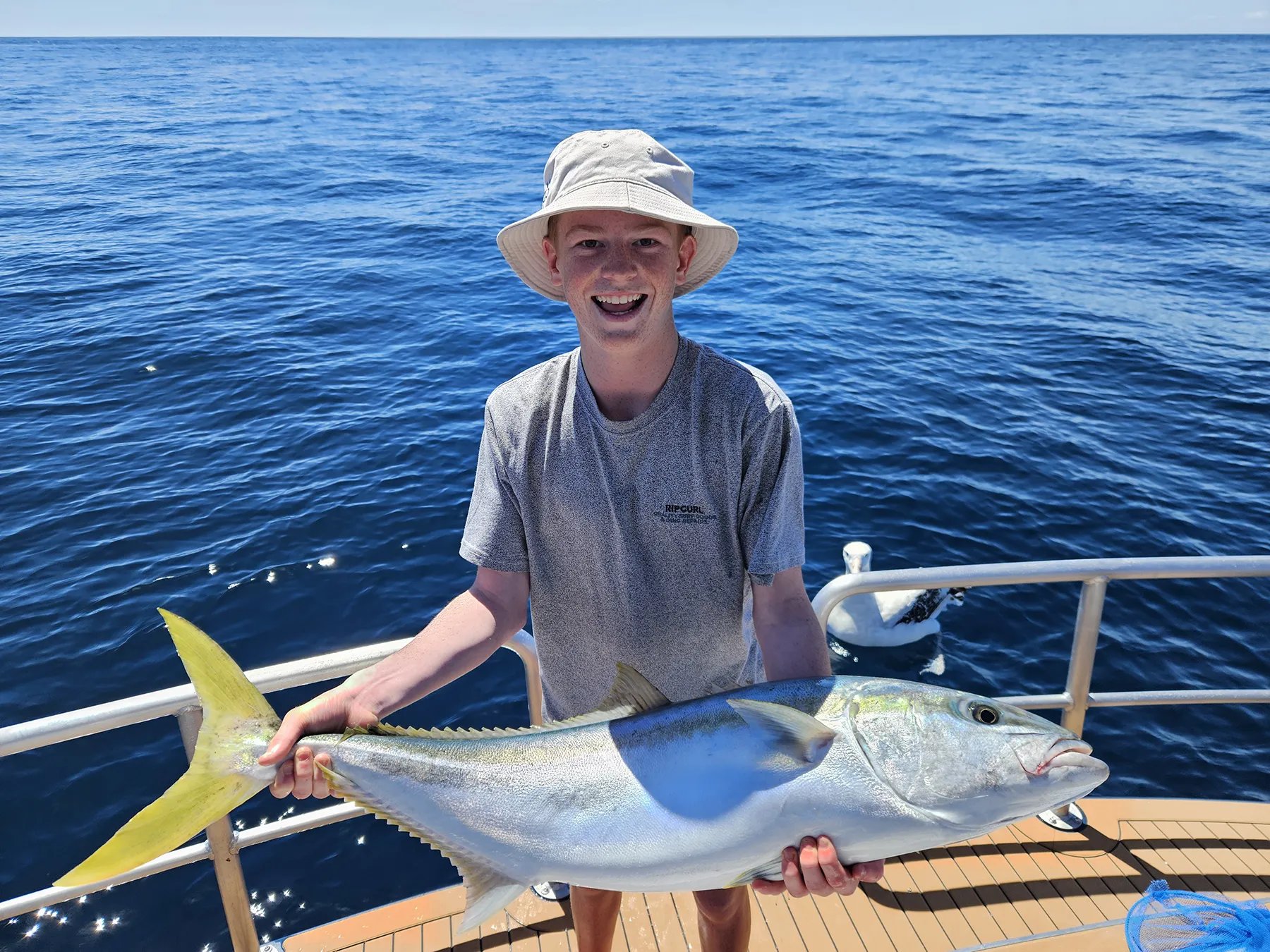 kingfish