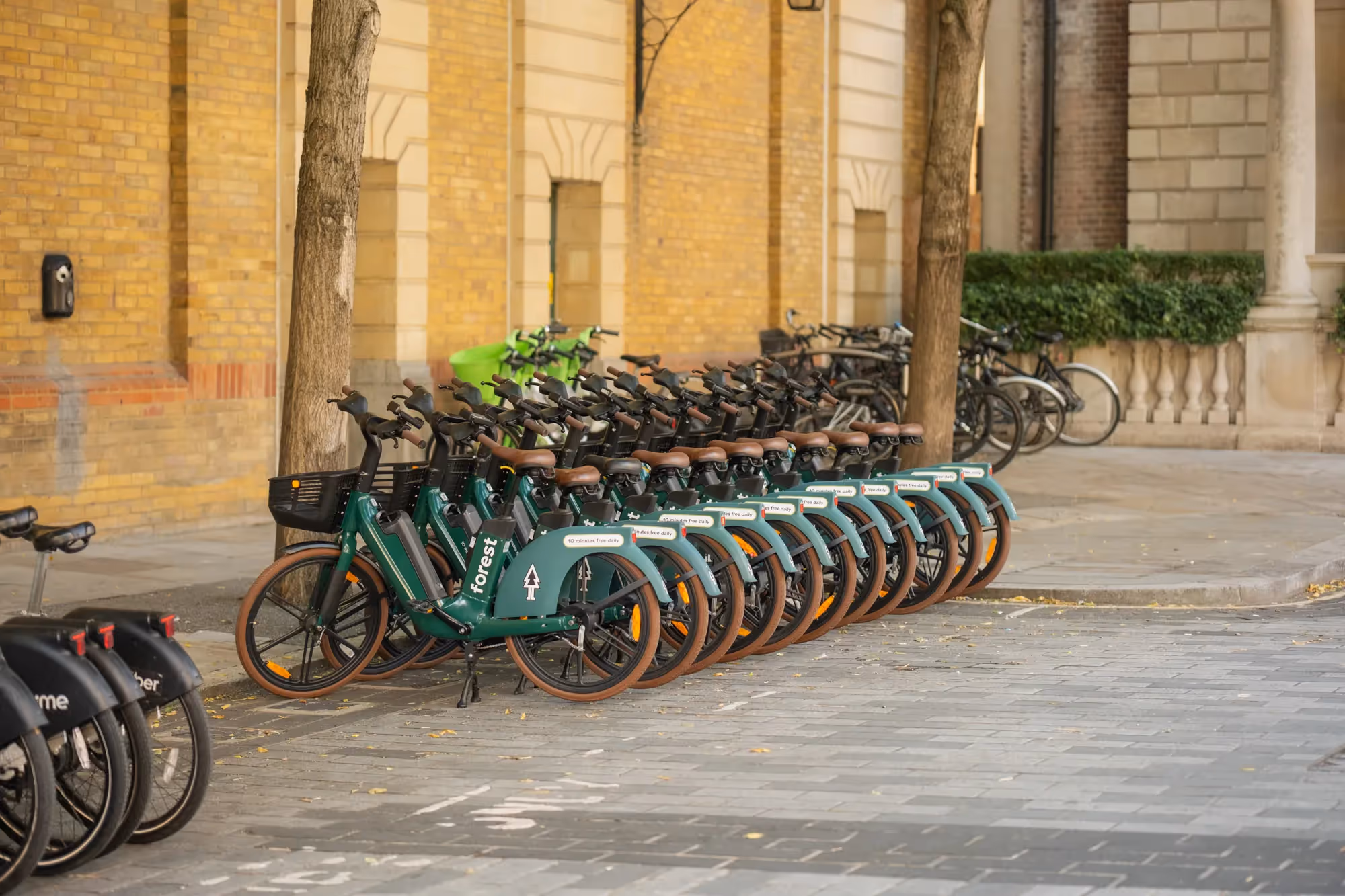 Save the planet and get some fresh air by using an e-bike to get around.