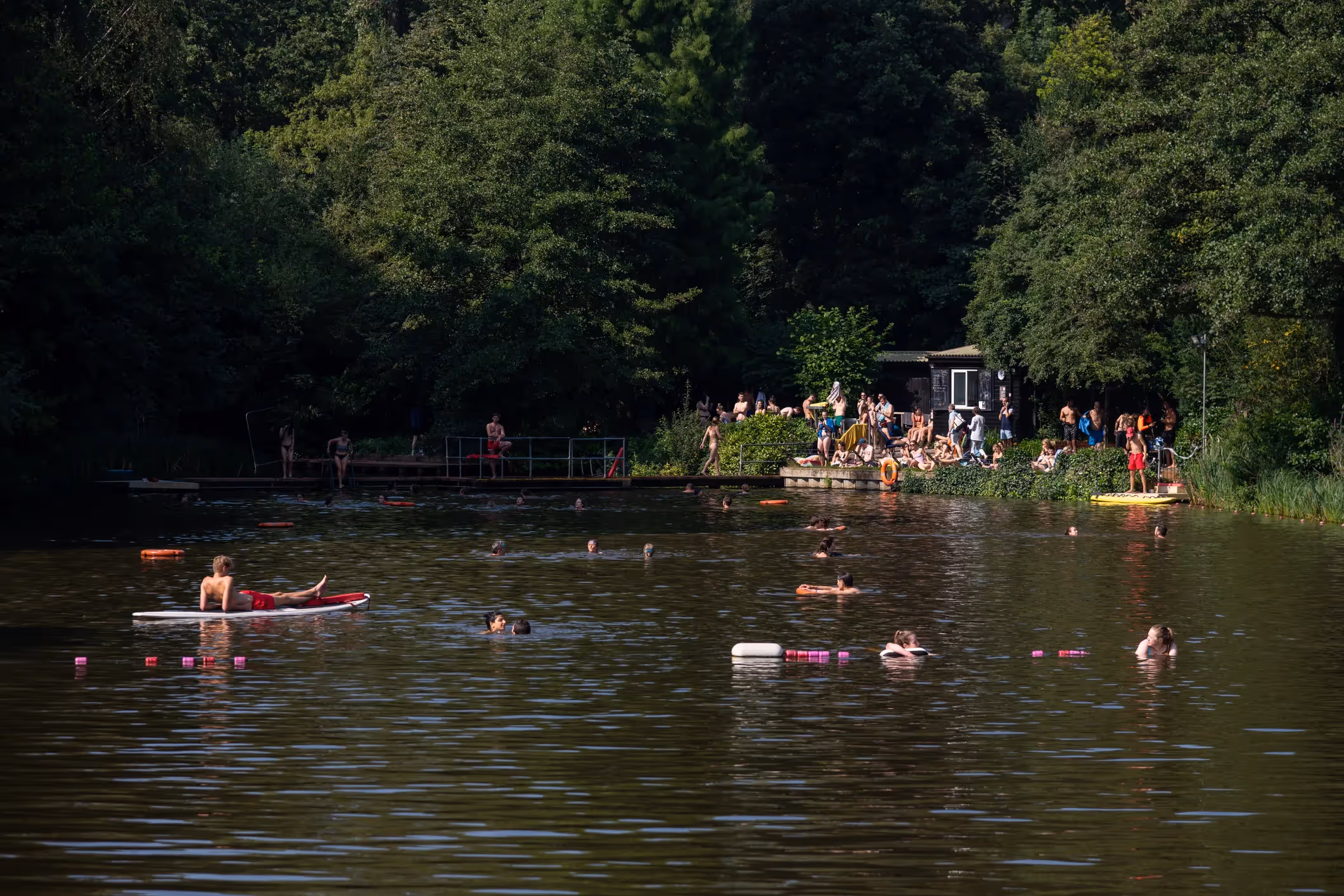 The ponds in Hampstead Heath