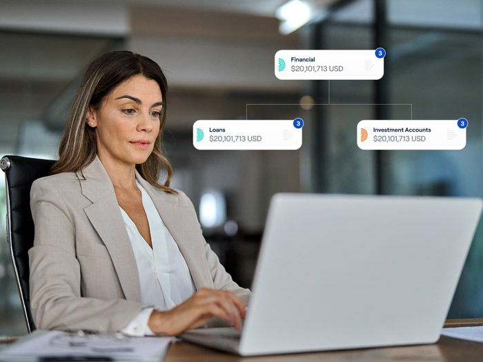 An interactive, real-time view of all assets.