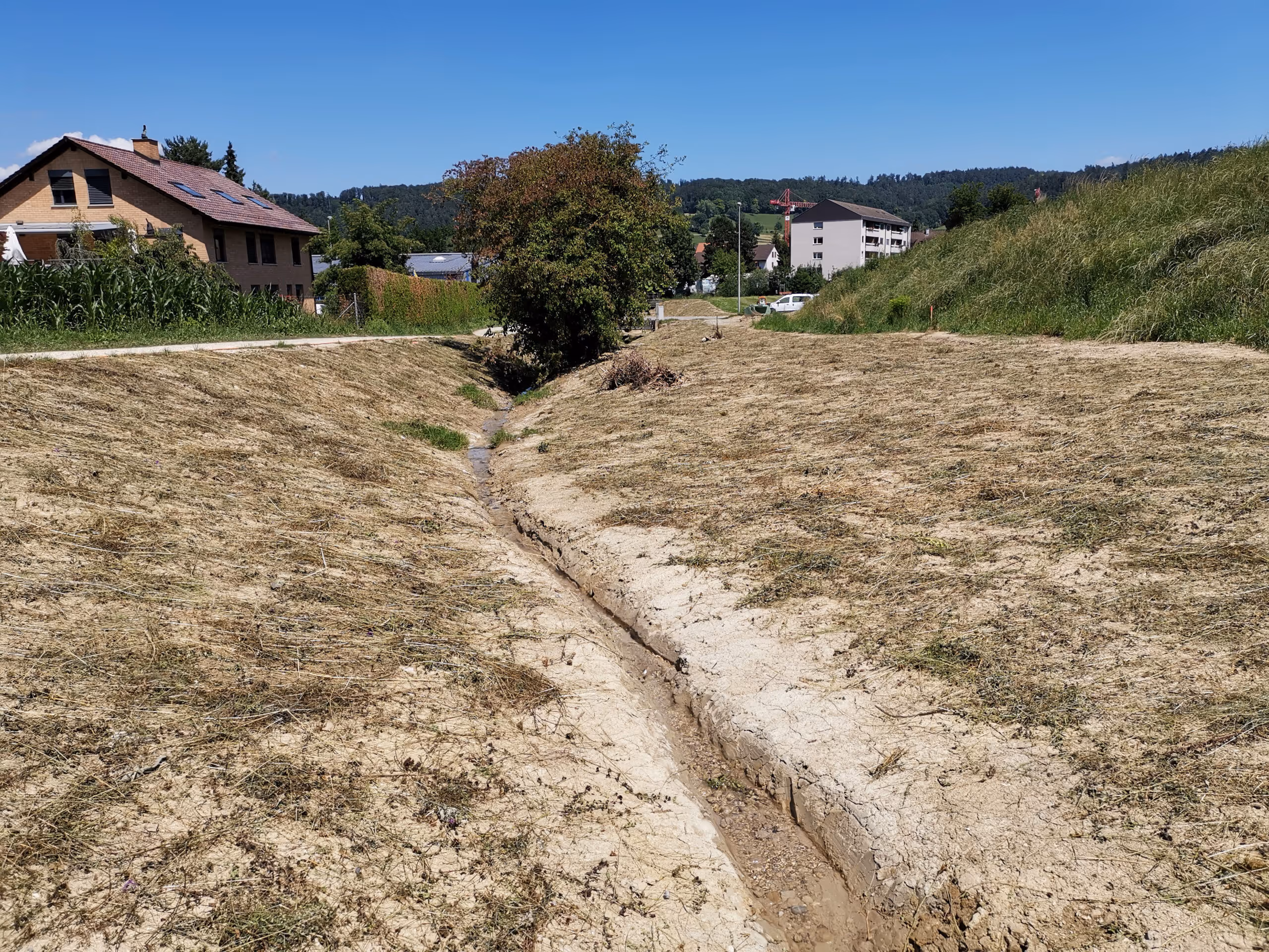Bachrekultivierung Haselbach