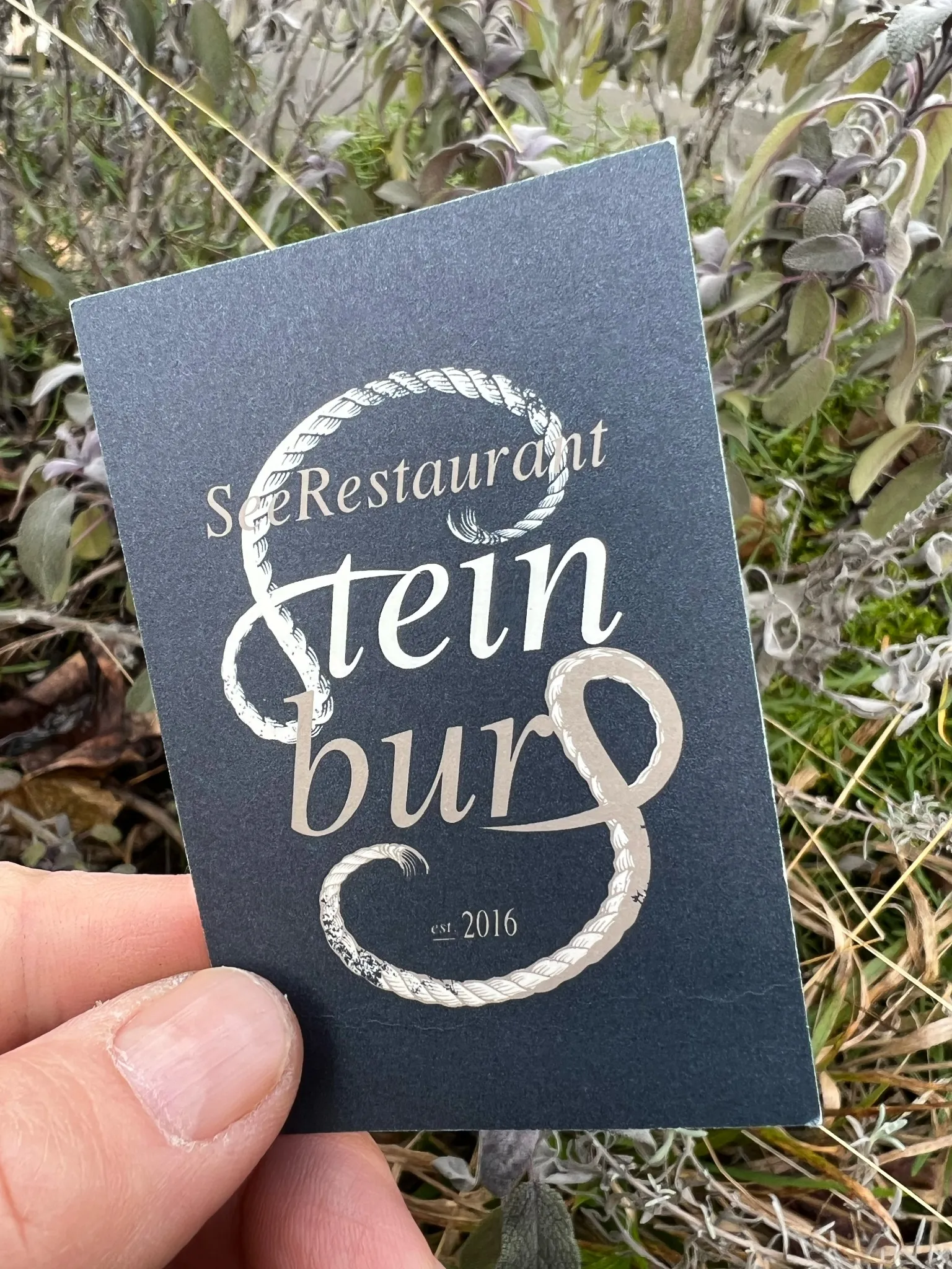 Steinburg restaurant identity