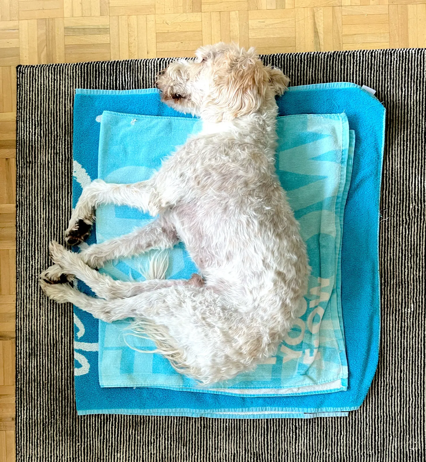 Find your flow. Nello found the towel.