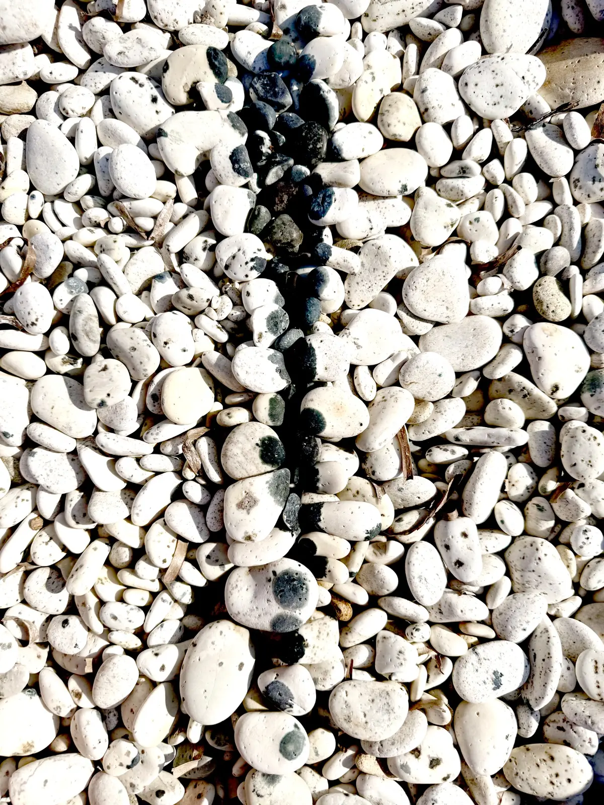 Found typography, written by the tide.