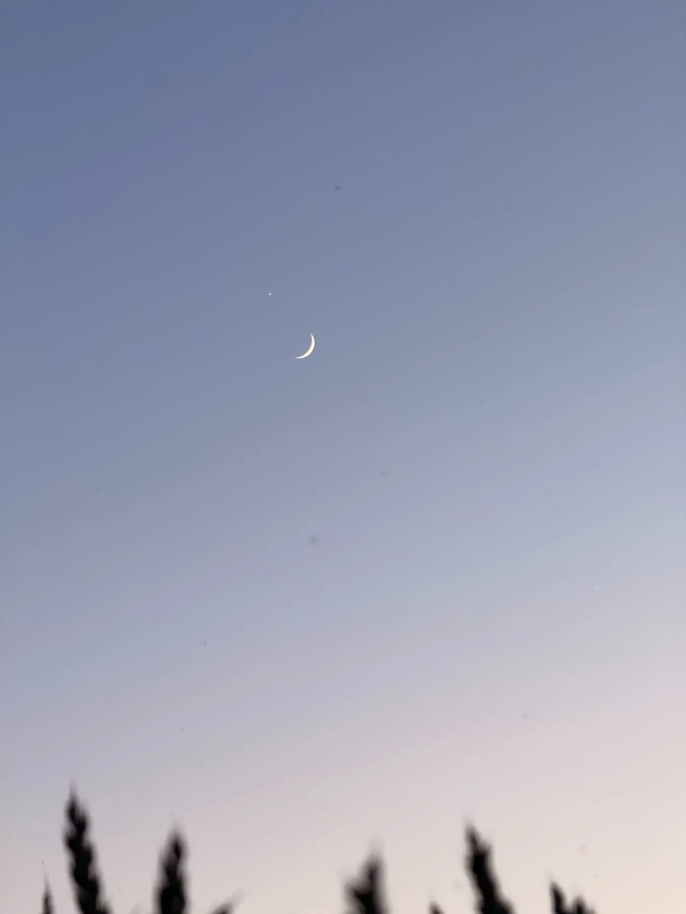 Crescent moon in the evening sky