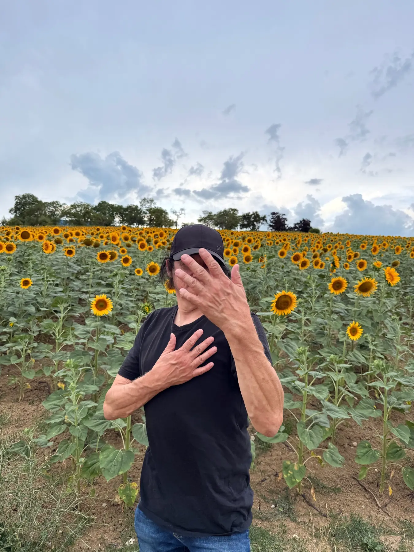 Person standing in a sunflower field