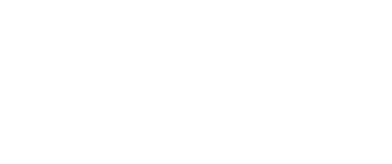 WildSchnyder
