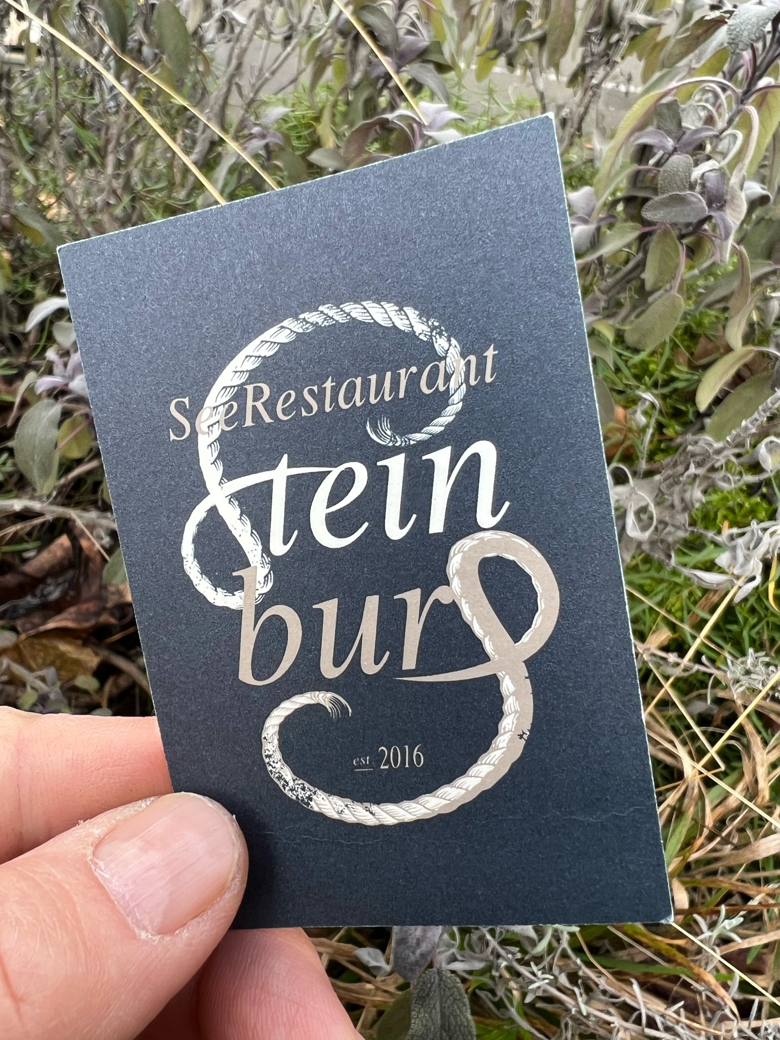 2023 Steinburg