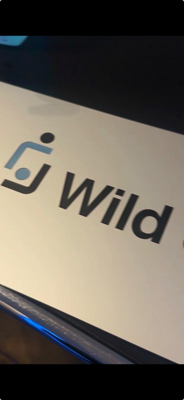 Wild Schnyder Logo Detail am Bildschirm