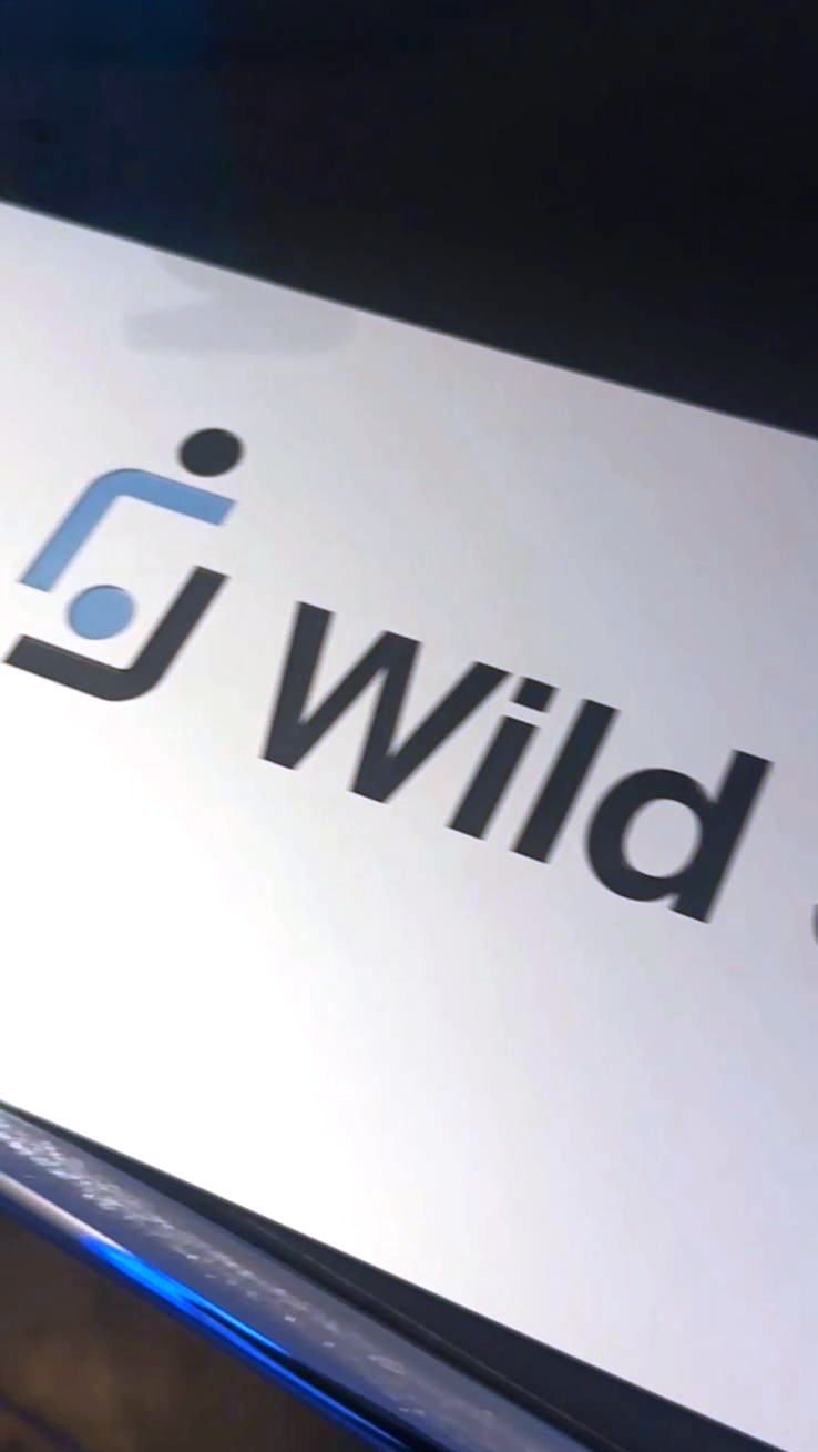 Wild Schnyder Logo in der Gestaltung am Bildschirm