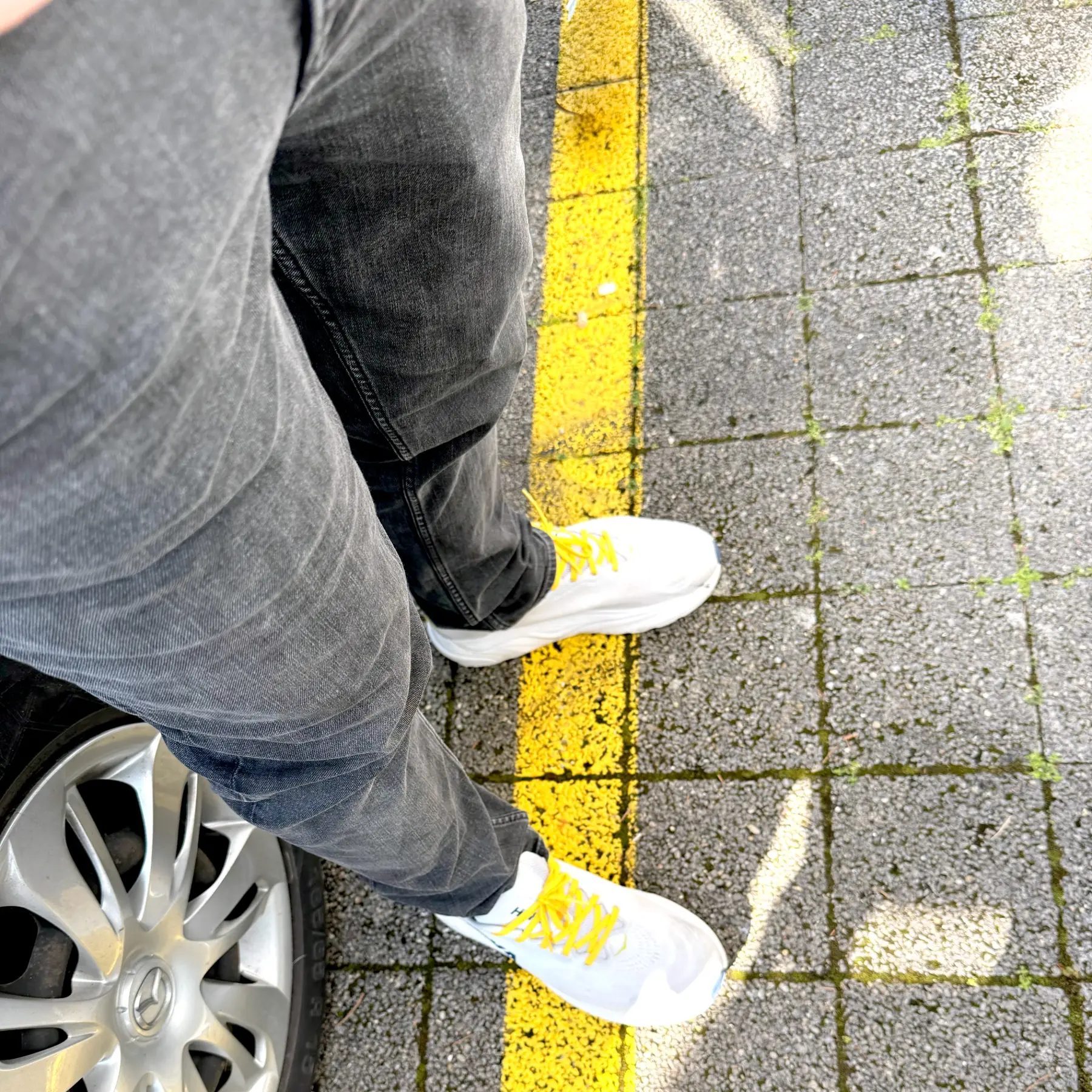2026_yellow_line