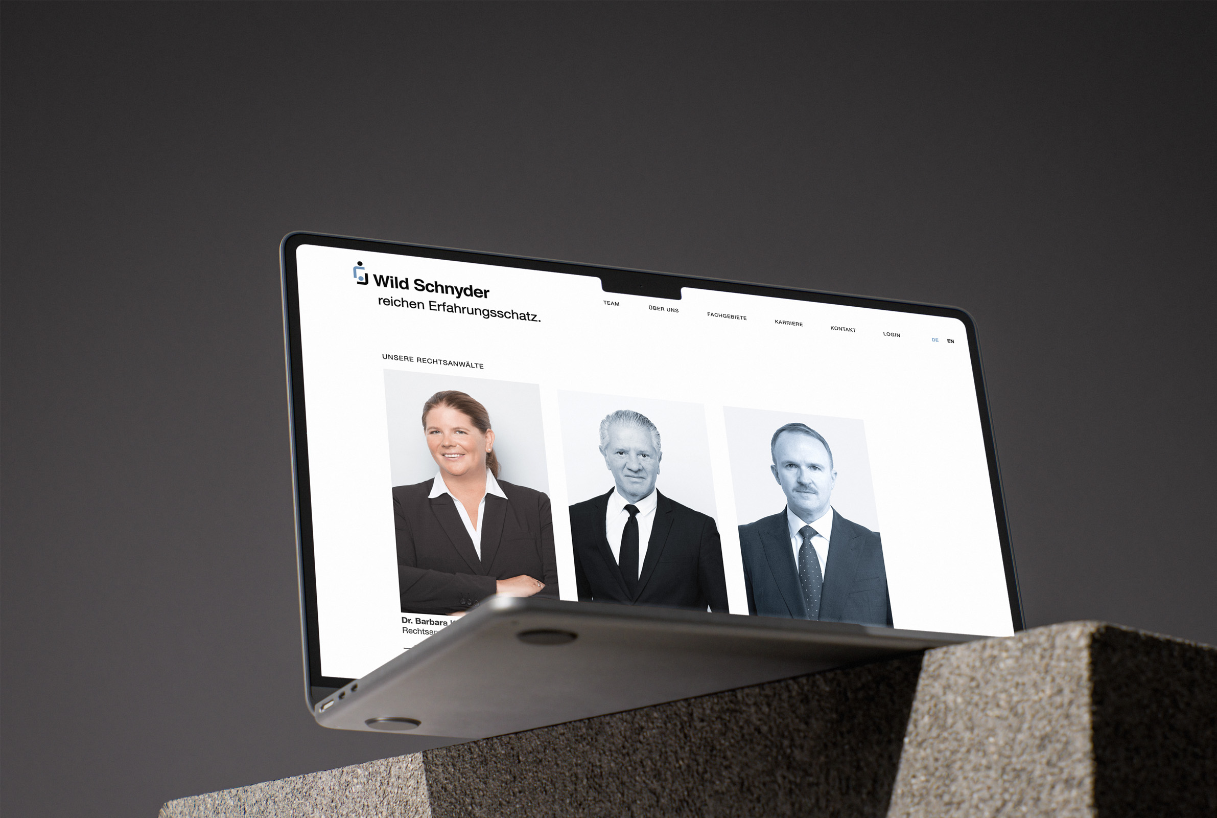 wildschnyder.ch Website