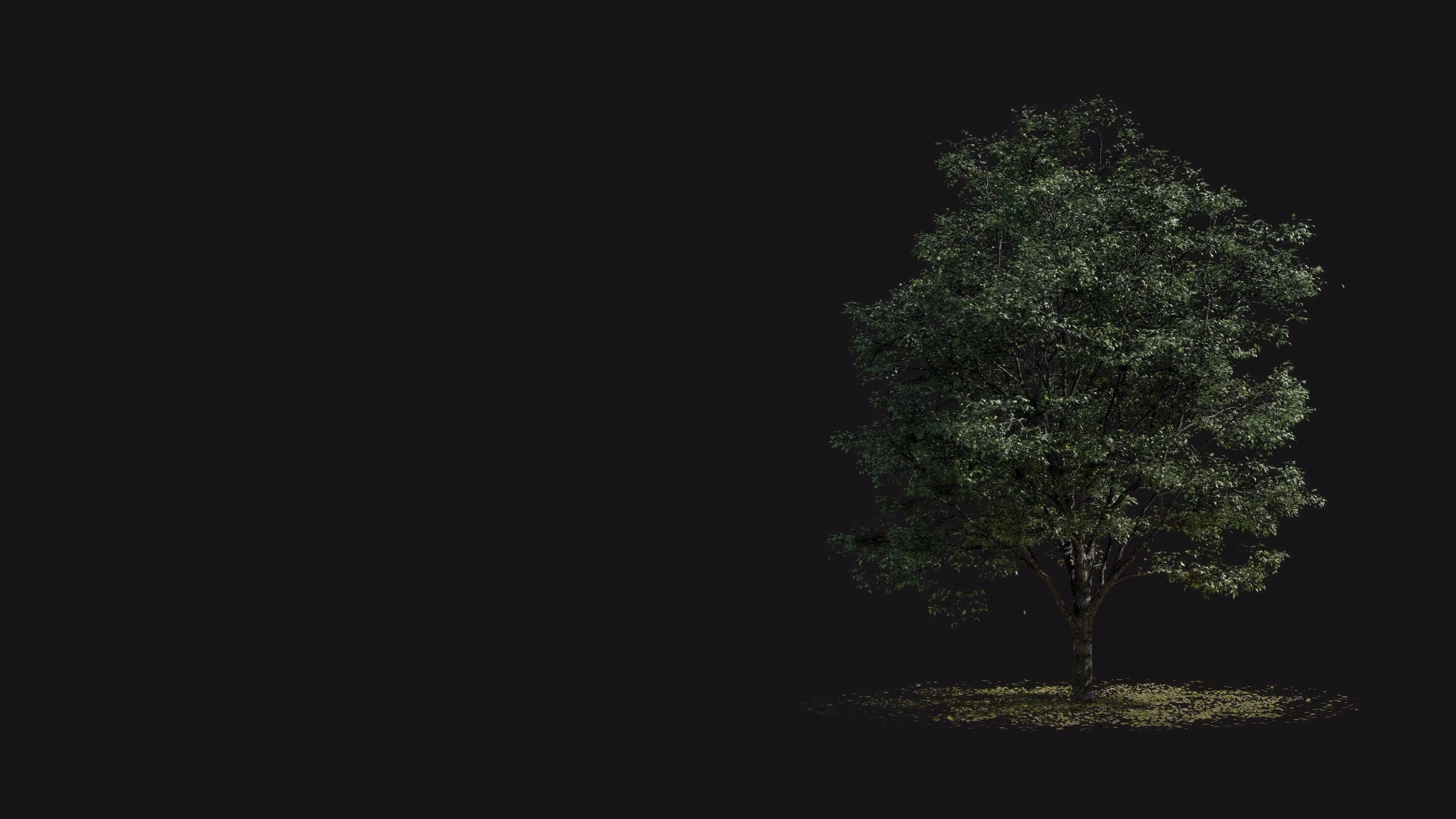 A poster bg image of a green tree on the dark grey background