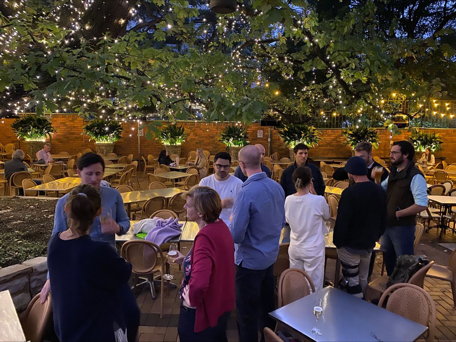 Group of people socializing at an outdoor patio with string lights hanging from trees and potted plants against a brick wall.