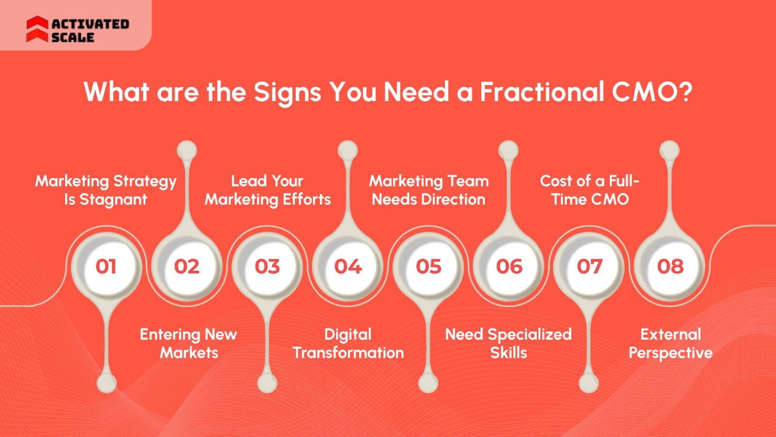 What are the Signs You Need a Fractional CMO?