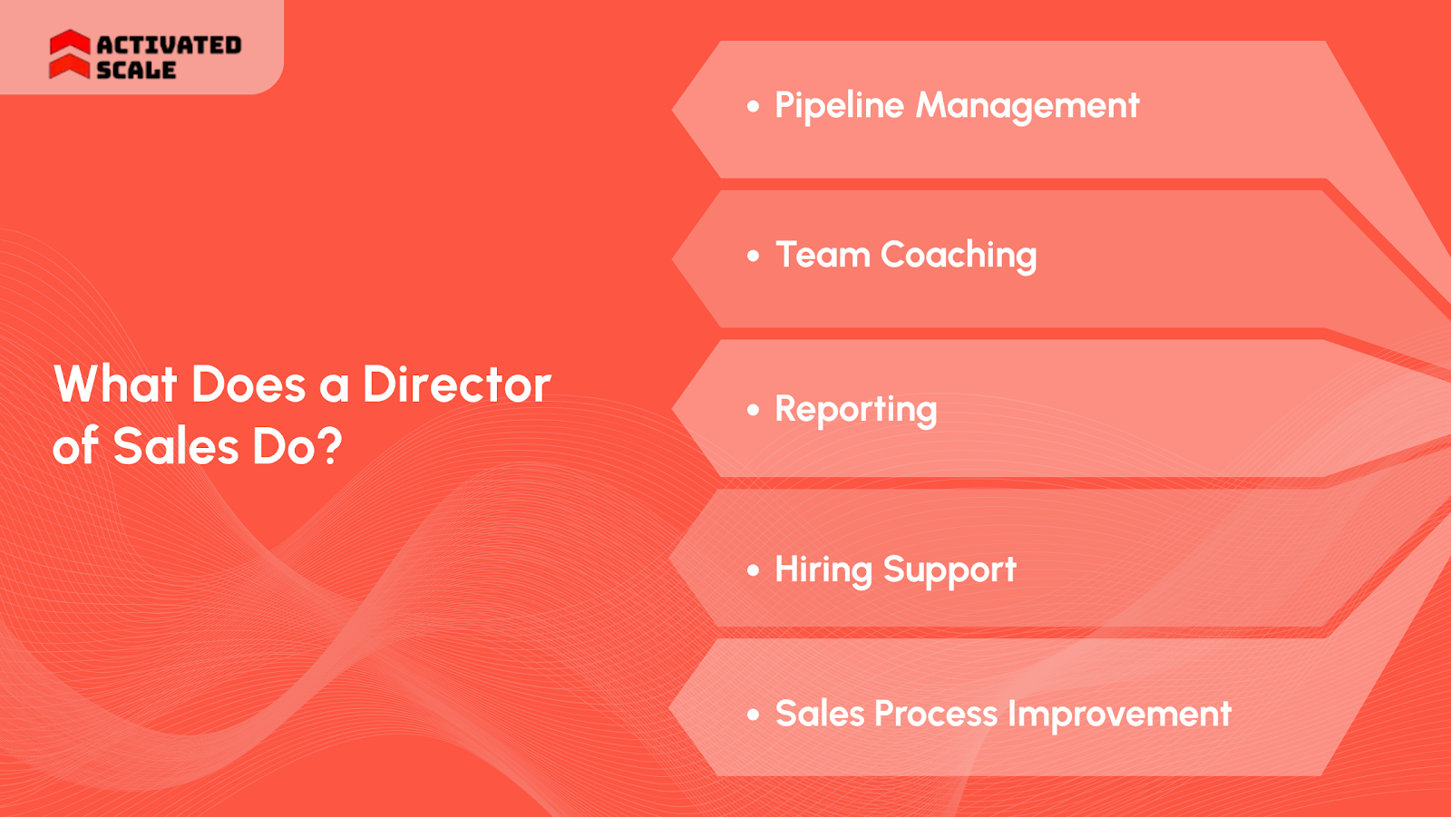What Does a Director of Sales Do?