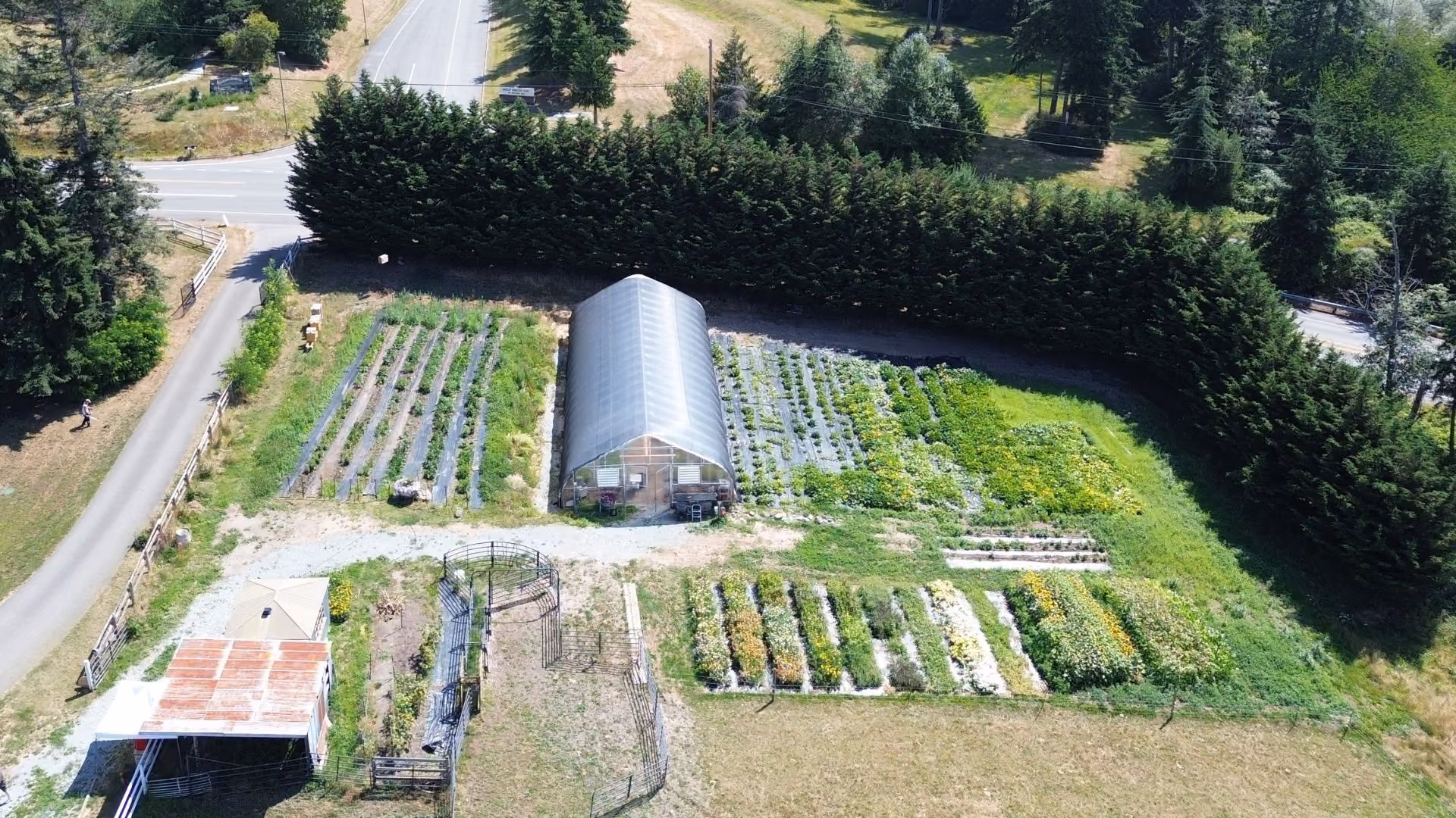 Aerial view of a farm with a large greenhouse in the center surrounded by several cultivated garden beds of various plants and flowers, bordered by a row of tall evergreen trees and intersected by gravel paths, with a small structure and fenced area in the lower left corner.