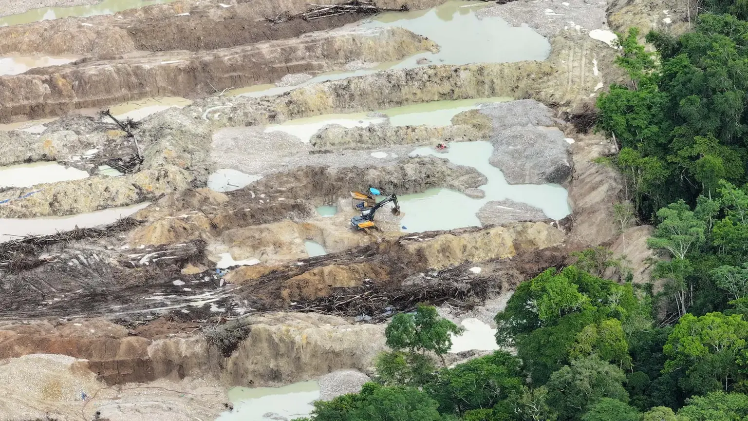 El impacto de la minería ilegal en la investigación científica