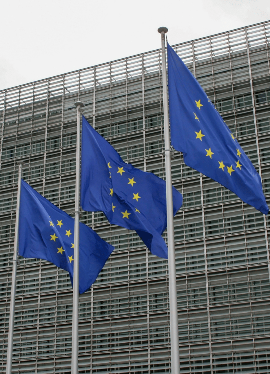 Row of European Union flags in front of a glass building facade