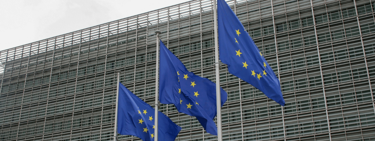 Row of European Union flags in front of a glass building facade