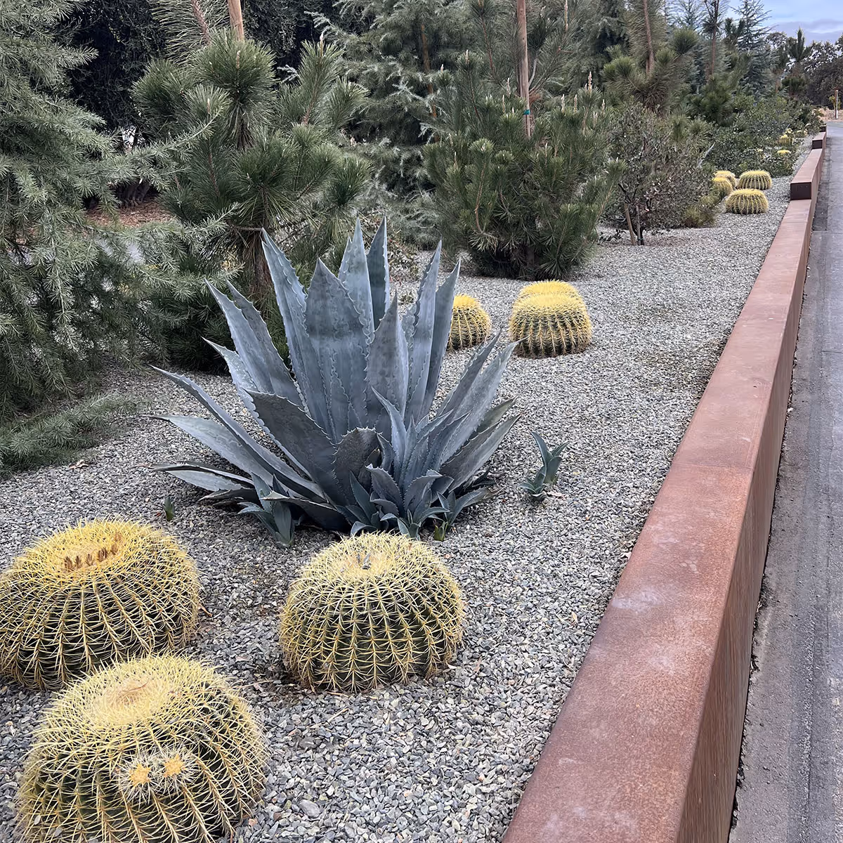 One of our past projects showcasing a beautiful mixture of forest and desert plants that have been installed, giving a unique look at Hope Winery, Paso Robles, CA.