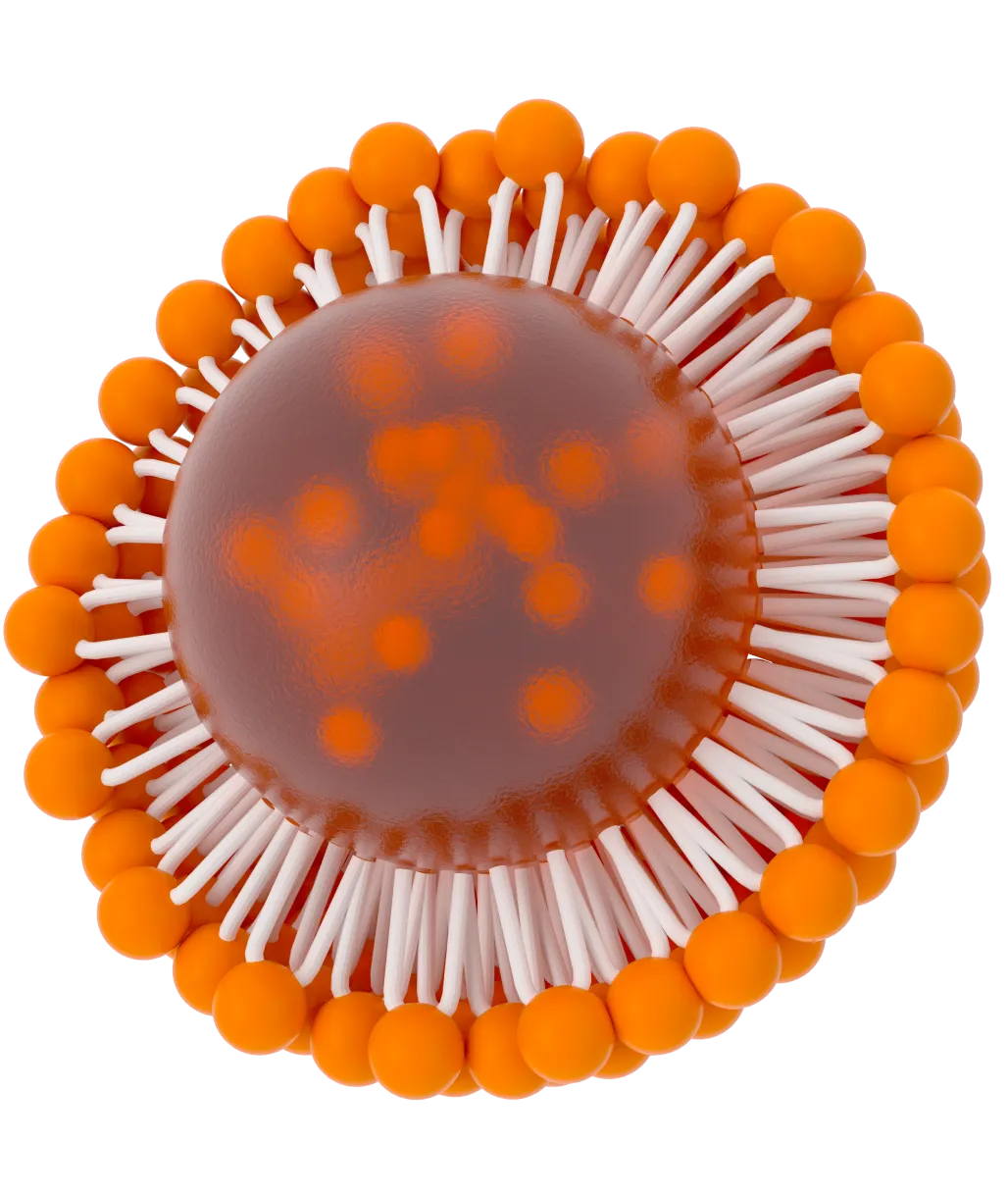 lipid nanoparticles
LNPs
LNP 
lipid nanoparticle
