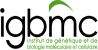 Logo of IGBMC with green and black stylized text.