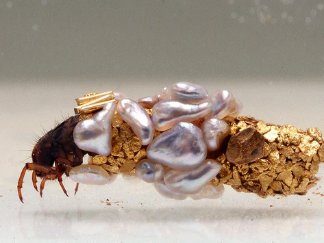 Личинка ручейника построила защитный чехол из сусального золота и драгоценных камней с помощью художника Юбера Дюпре