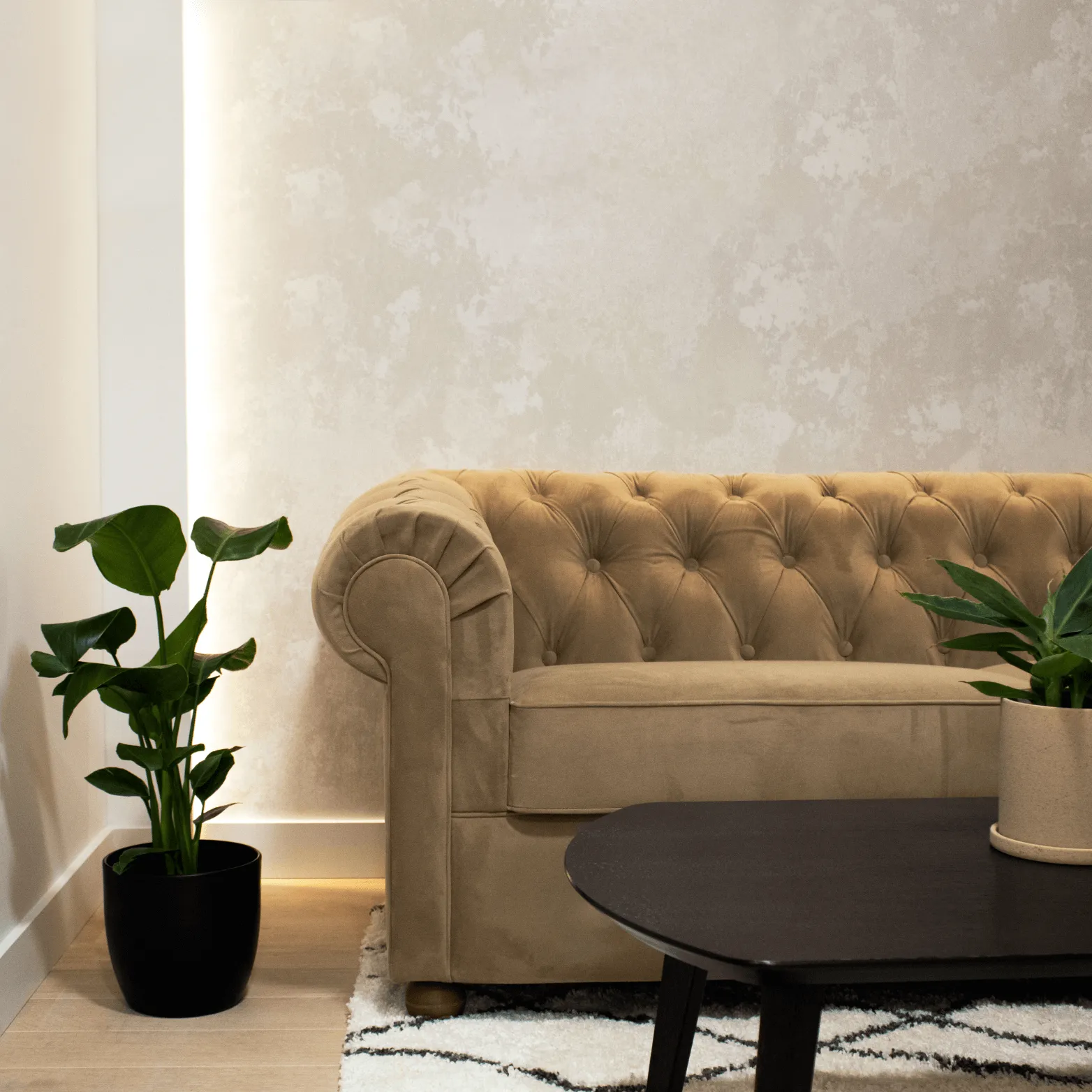 Beige tufted sofa next to a potted green plant on light wood floor with a black coffee table in front.