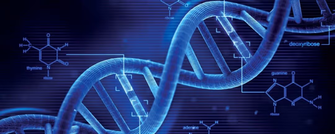 Discover how AI is revolutionizing personalized medicine through secure, data-driven mobile platforms. Learn how this innovative approach is transforming healthcare for better patient outcomes. Read the case study now!