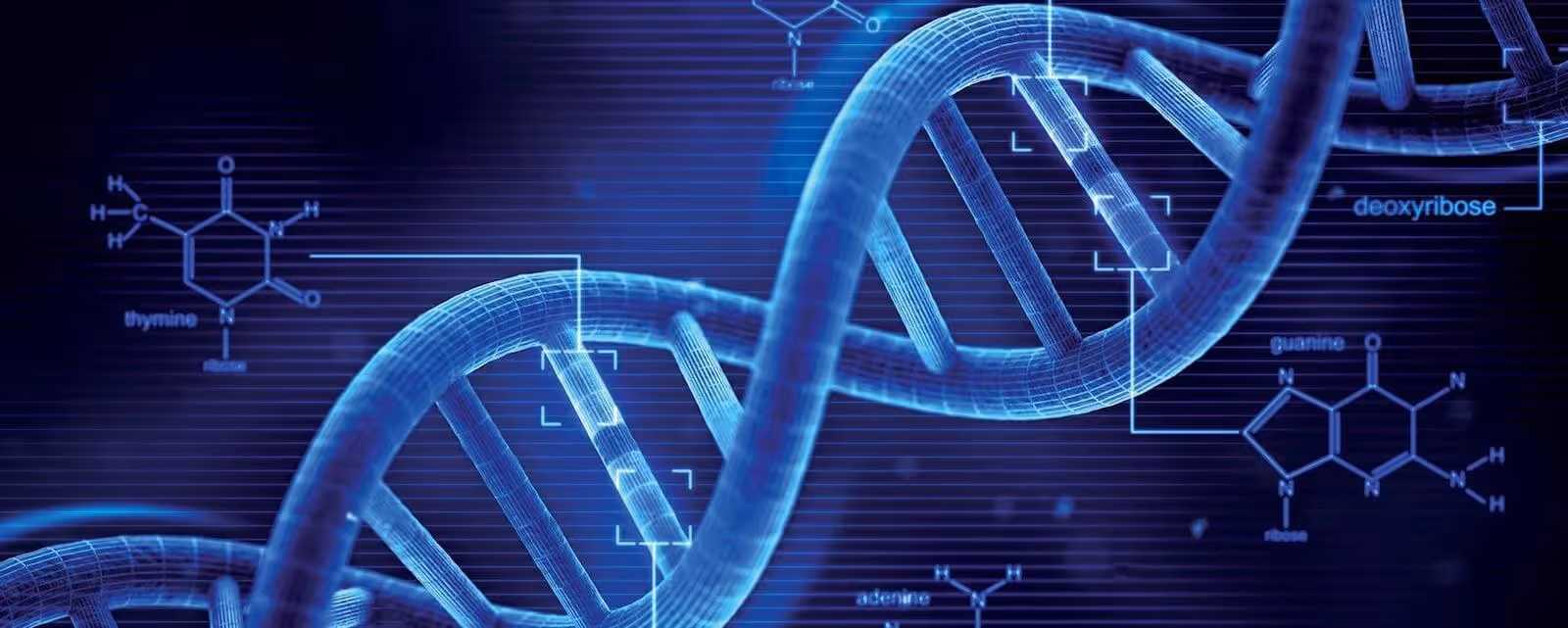 Data-Driven Personalized Medicine: Gali Health Case Study