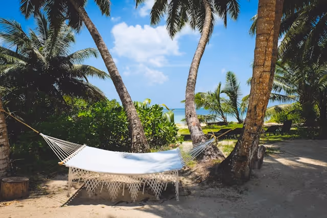 A white hammock with palm trees in the background