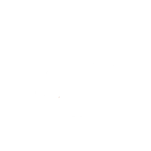 Dan Wu Logo