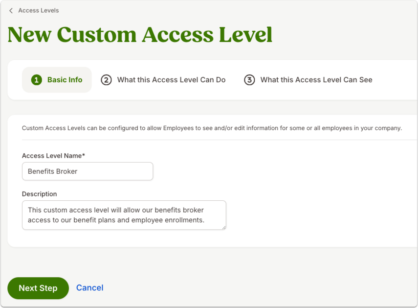 New Custom Access Level