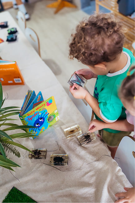 Two children examining insect specimens in clear boxes on a table with a colorful children's book titled 'Icky Wincy Spider.'