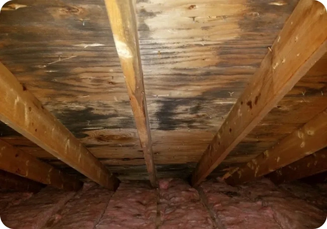 Condensation on roof sheathing causes mold growth