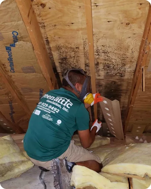 Tech removes attic soffit baffle, revealing black mold from blocked airflow