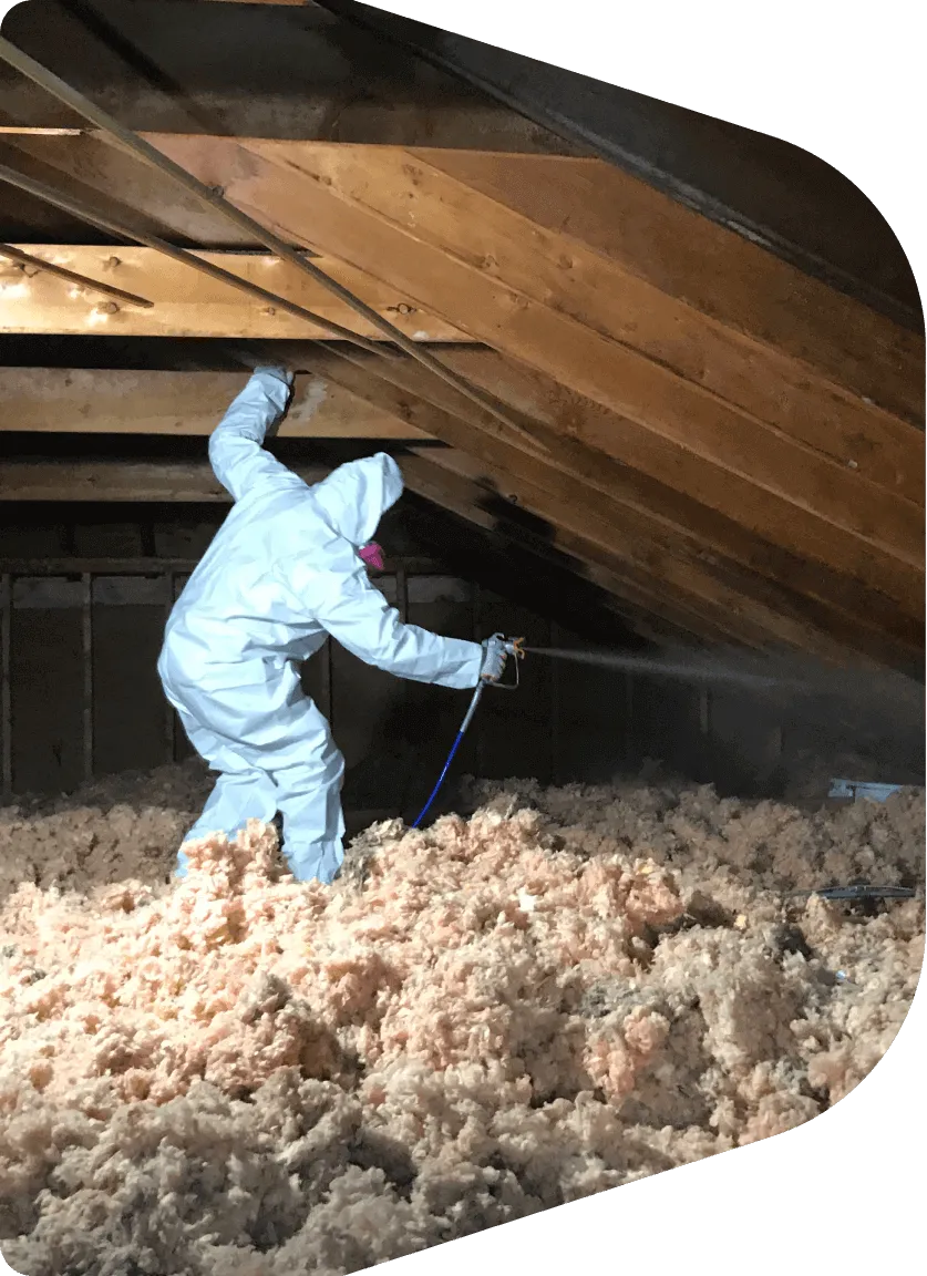 Technician in protective suit performing attic cleanup after animal infestation