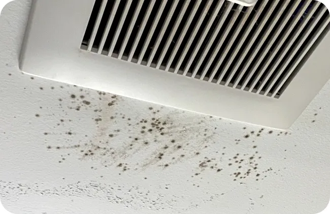 Ceiling with mold growth around air vent caused by high indoor humidity