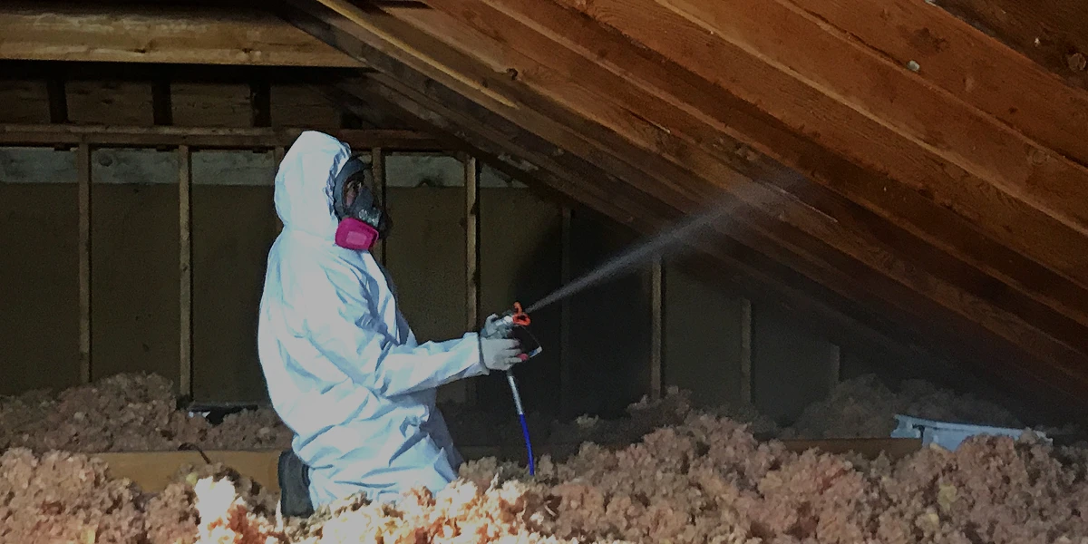 Mold Remediation Services in Chicago